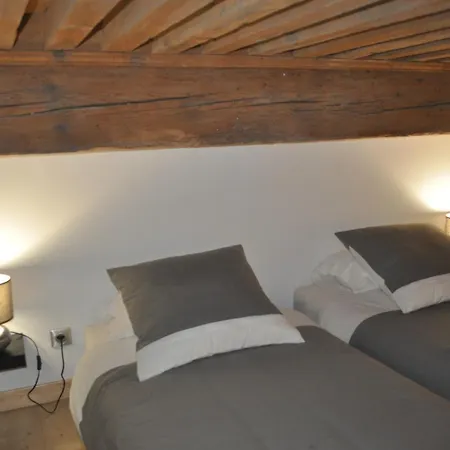 Cosy St Jean*** * Lyon
